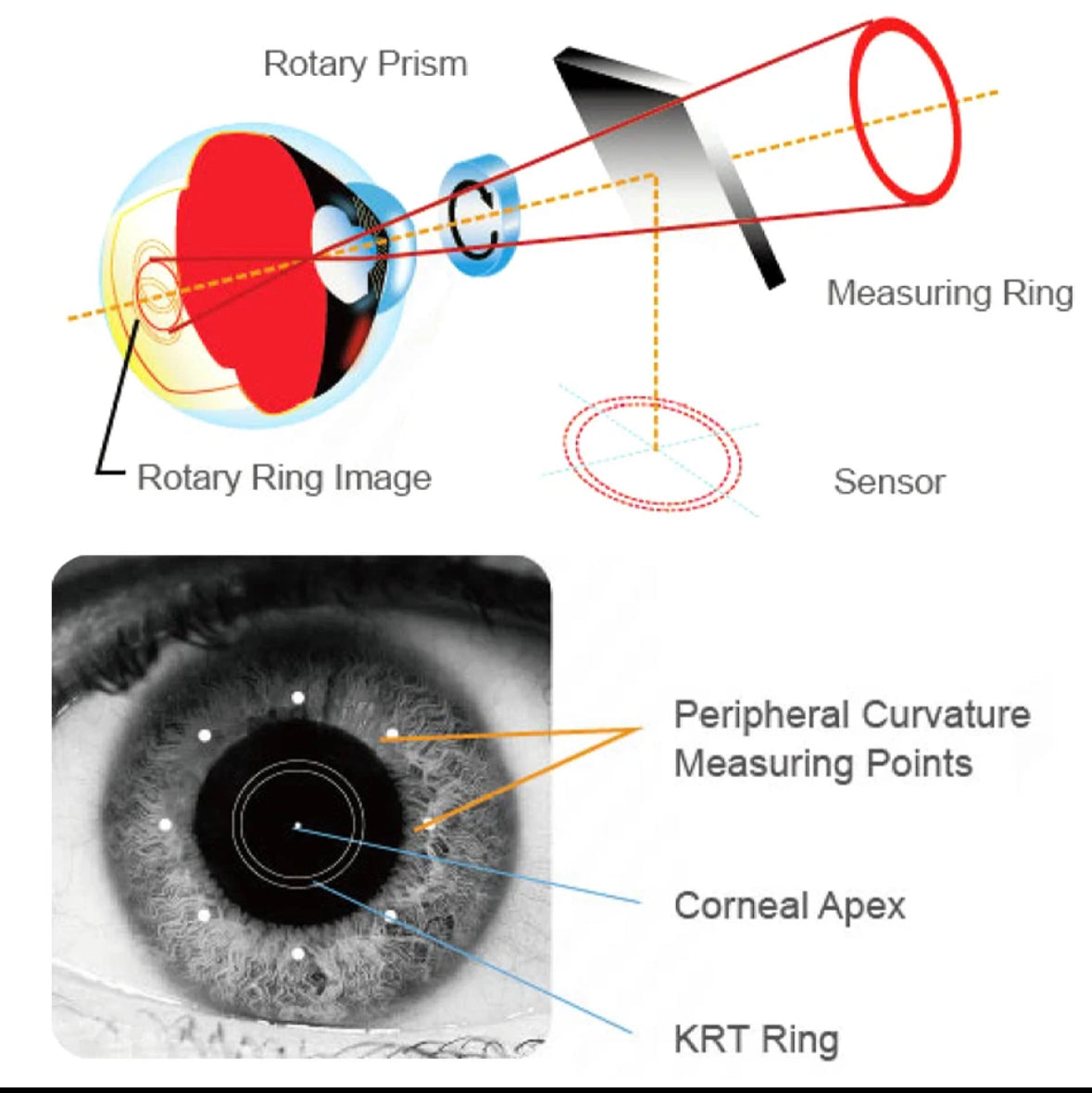 FKR-710 Autoref/Keratometer AUTO